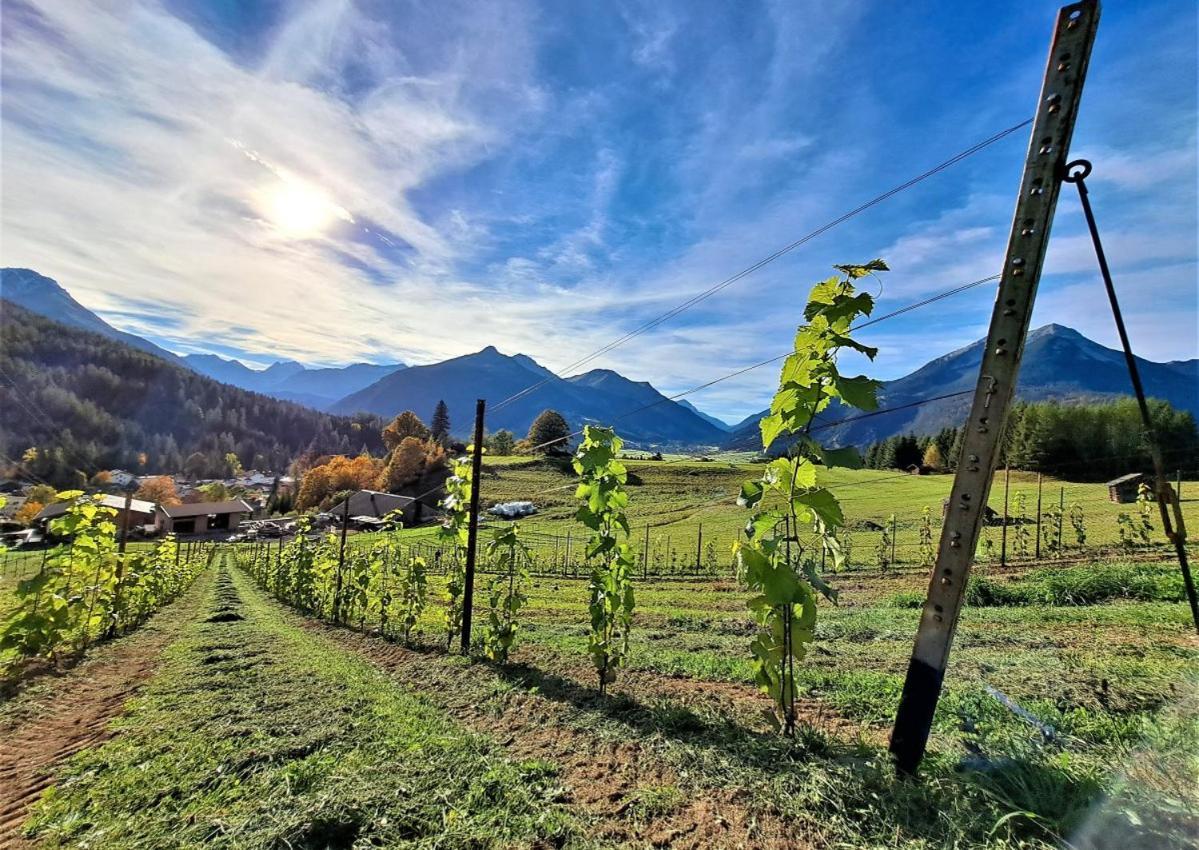 Der Trueferhof Daire Ehrwald Dış mekan fotoğraf
